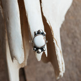 Wild Horse Ring Size 6